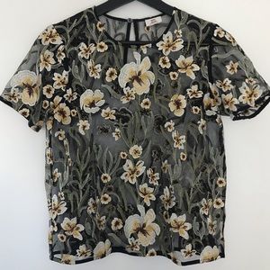 Aritzia Little Moon sheer blouse